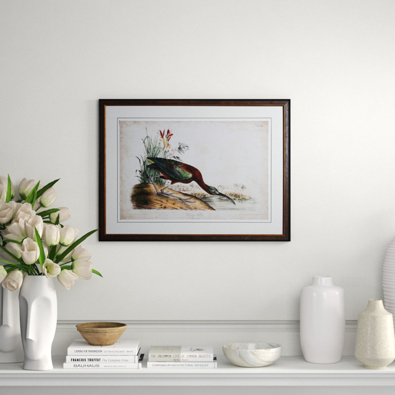 Ibis Print by Audubon