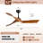 Kemp 52" W Dimmable LED Propeller Ceiling Fan-11883310
