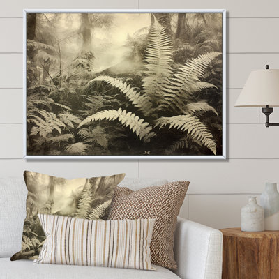 " Green Fern Scenery V "