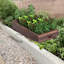 Isan Wood Raised Garden Bed