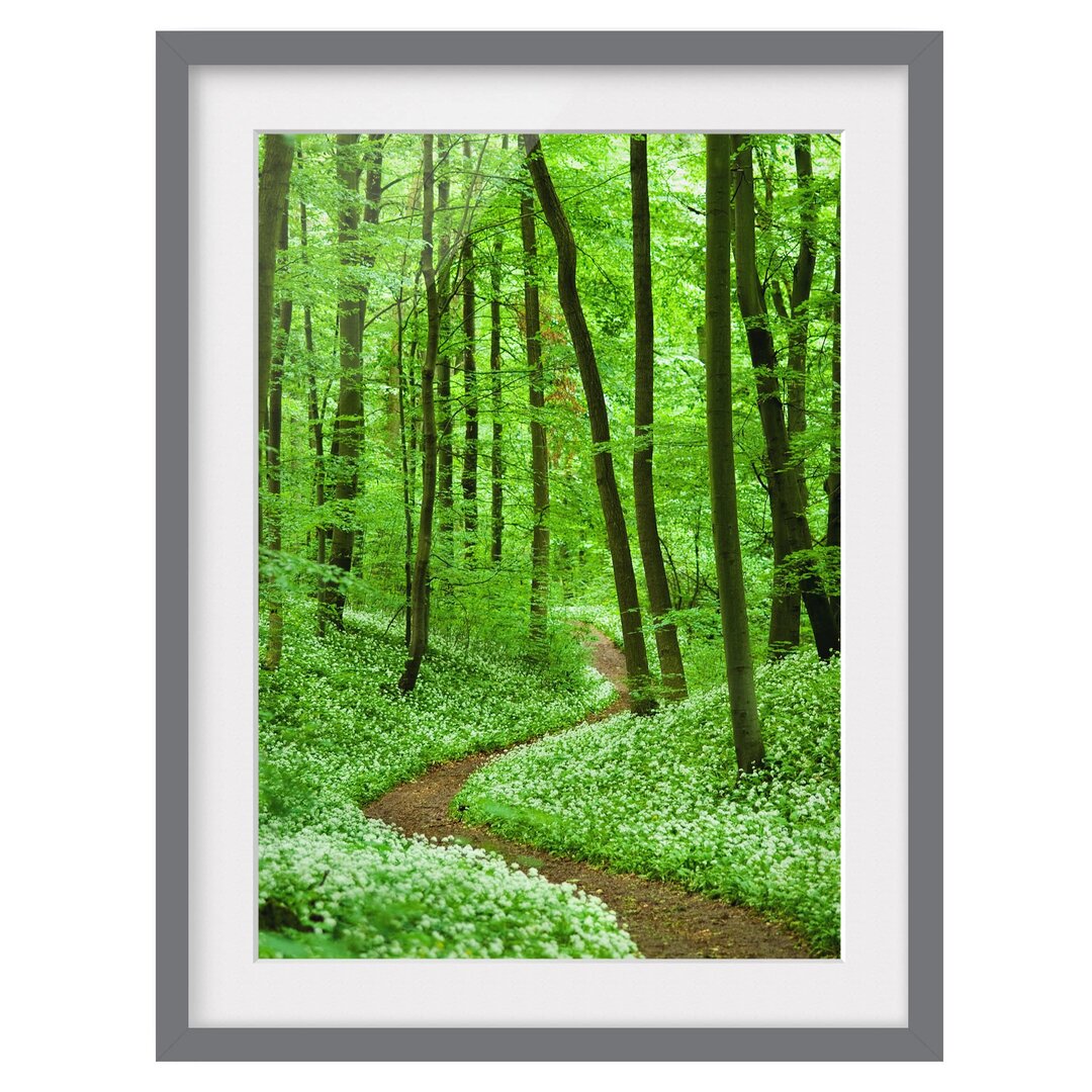 Gerahmter Fotodruck Romantischer Waldweg