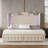 Kaliya Velvet Upholstered Wingback Platform Bed with LED Lights, Wood Bed Frame With 2 Storage Drawers-438663467-438518509