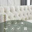 Canapé moderne rembourré 2 pièces-258452151