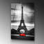Boze Wall Decor on Tempered Glass