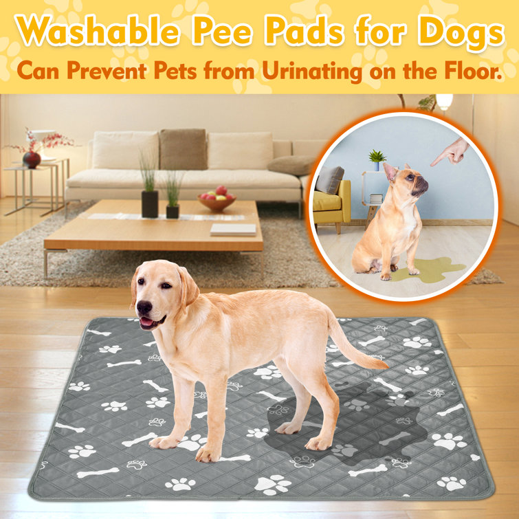 Washable & Reusable Potty Training Pads for Dog, Absorbent/Waterproof/Machine Washable (Set of 2) Tucker Murphy Pet Color: Light Gray