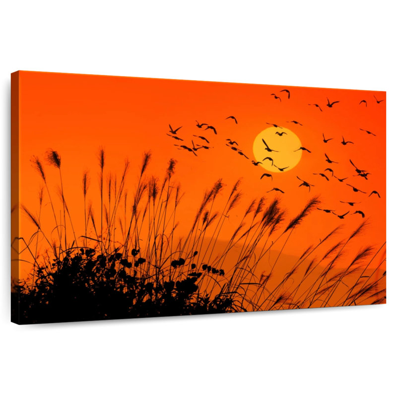 Harnek Sunset Reeds