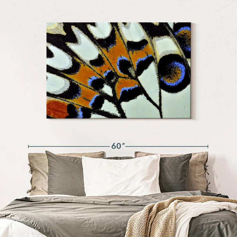 Brampt Butterfly Wing Close Up, 32" H x 48" W