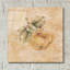 «Pears Square» par Cheri Blum, art mural en verre acrylique-1675855149