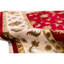 Hand Woven Silk and Wool Oriental Area Rug