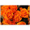 Panneau décoratif en céramique satinée 12 po x 12 po