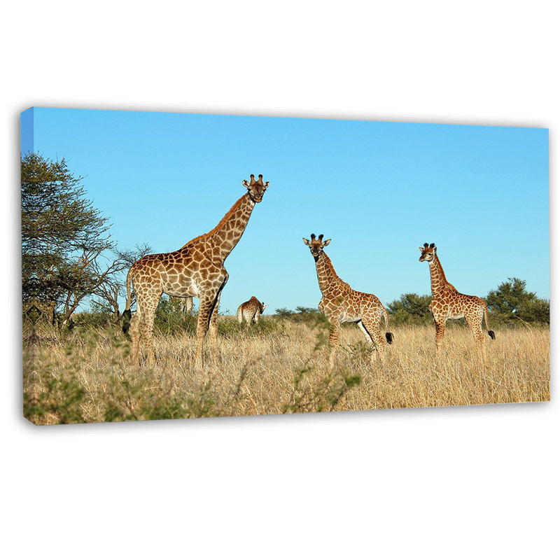 Girafe en Afrique - reproduction de photo sur toile tendue, H 16 po x l 32 po x P 1 po