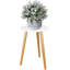 Bentham Plant Stand