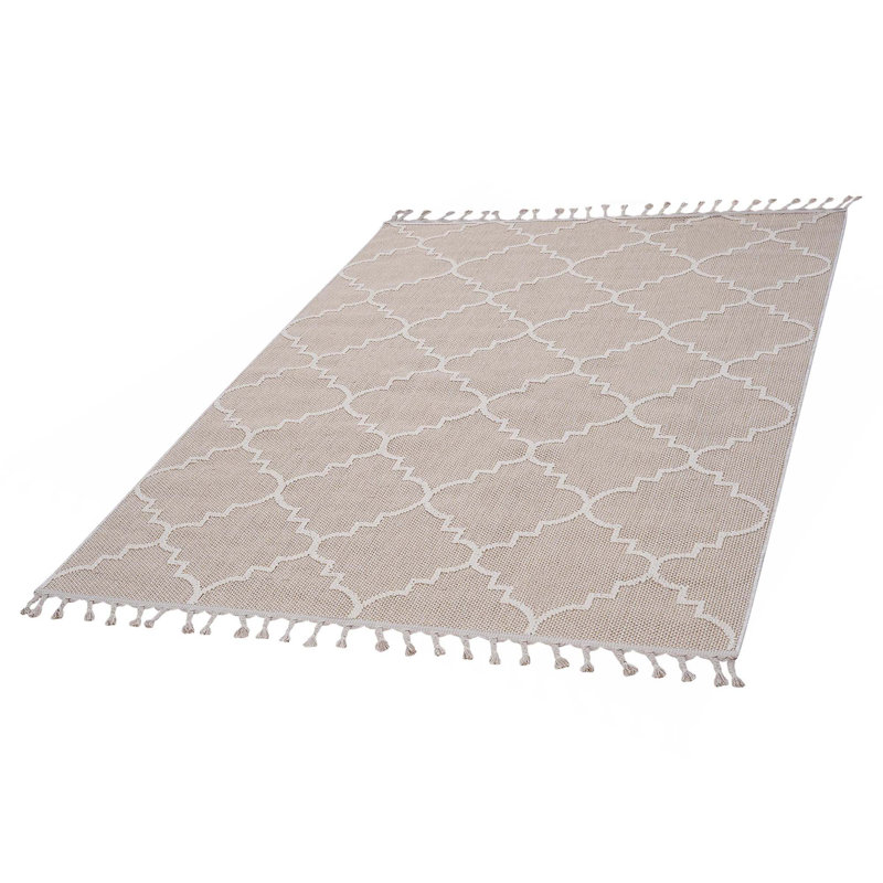Collection Trellis Indoor/Outdoor Area Rug, Rectangle 5'3" x 7'6"