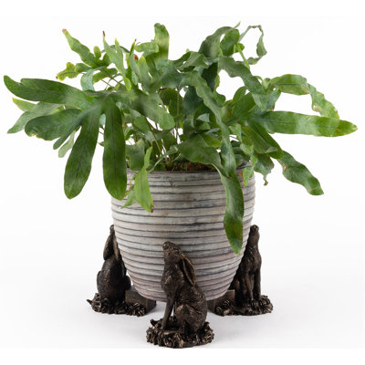 Irie Weather Resistant Planter Feet