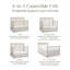 Eloise 4-in-1 Convertible Crib-1607064570