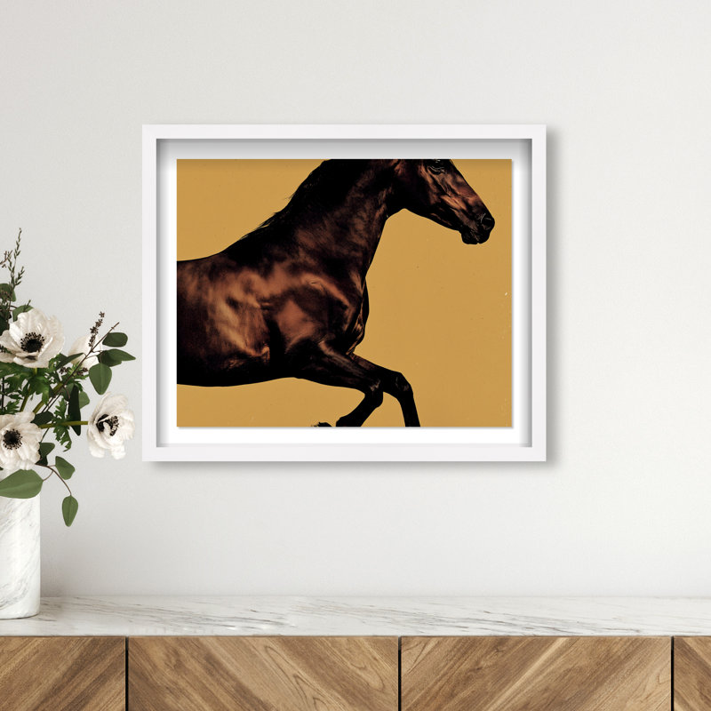 Hue Equine II Framed Graphic Art, 31.5"H x 37.5"W, White Shadowbox
