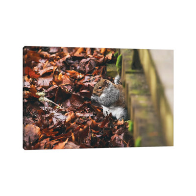Hidden Squirrel 1 Piece Wrapped Canvas Painting