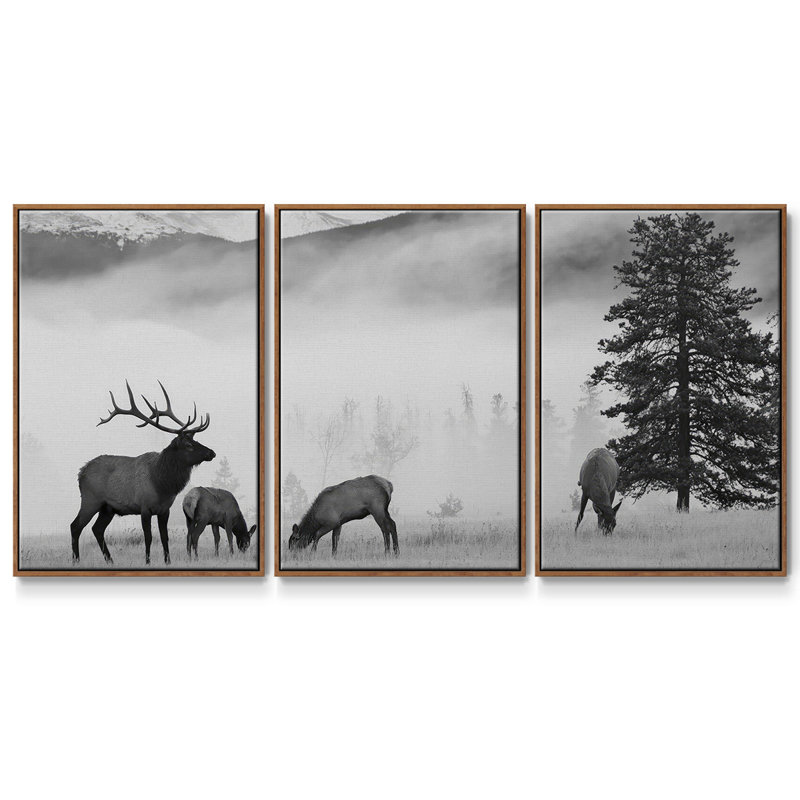 Élan de montagne 3 pièces, H 24 po x l 48 po x P 2 po, Noyer
