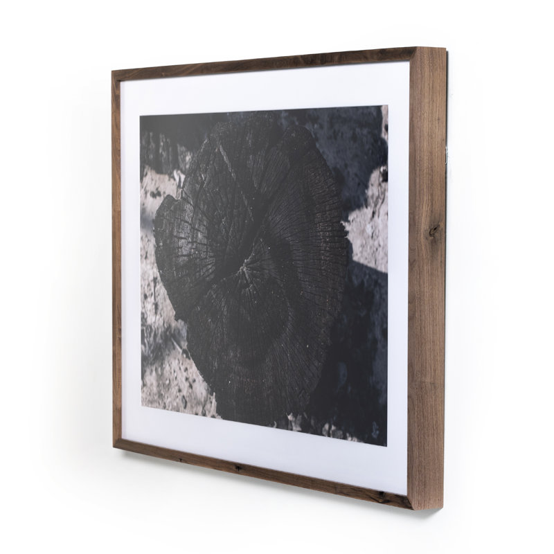 Char II Print by La Gurvia Madaeras, 36" H x 48" W x 2.5" D
