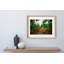 Coconut Dream Print by Joseph Regan-66911131-66911132