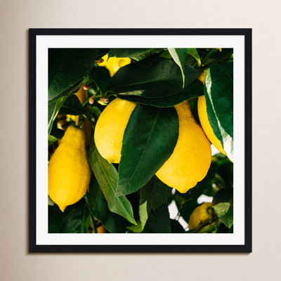 Terico "Amalfi Coast Lemons" Print