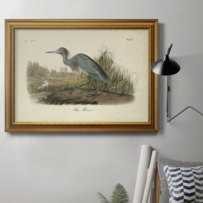 Audubons Blue Heron - peinture sur toile encadrée