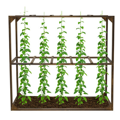 Outdoor Garden Trellis Support Frame For Climbing Vegetables Wooden Tomato Cranberry Vines Frame With 5 Cages