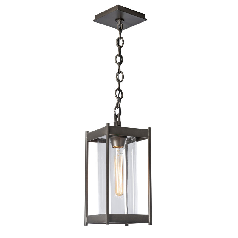 Cela Outdoor Pendant, 14.1" H x 6.2" W x 6.2" D, Clear, Coastal Black