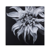 Black And White Flower Epoxy F Print