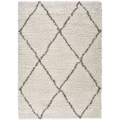 Casterton Geometric Shag Area Rug