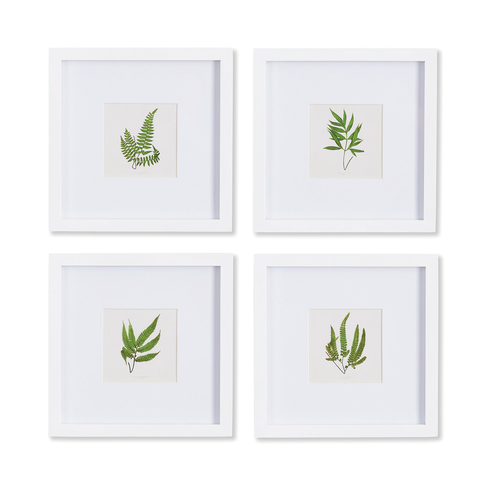 Forest Greenery Petite