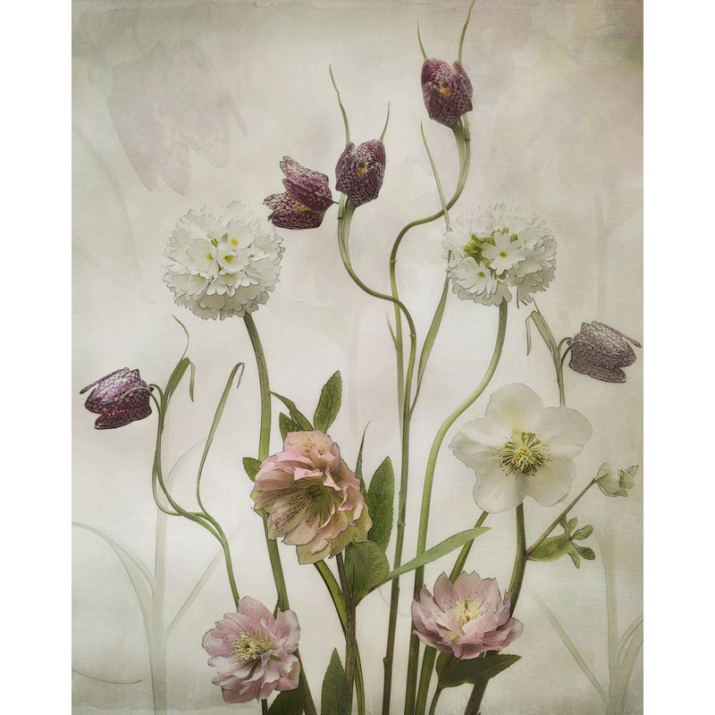 Wrapped Canvas Print, 50.8 cm H x 76.2 cm W