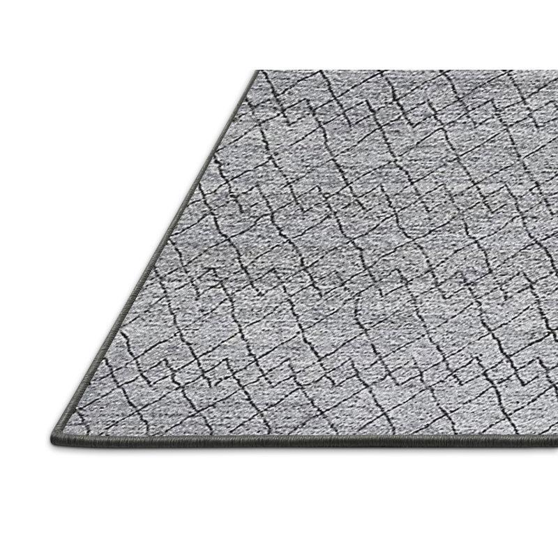 Tapis gris Borodino, Rectangle 2 pi x 4 pi