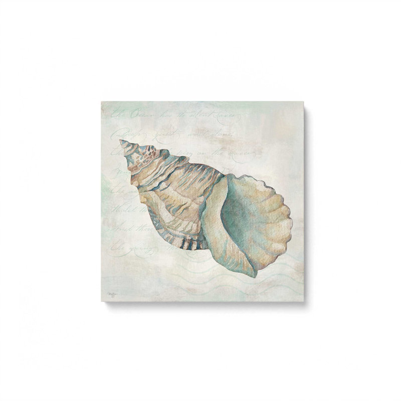 «Seashells II» par Mollie B., reproduction d'art, L 36 x H 36, Ne s’applique pas, Unframed Canvas