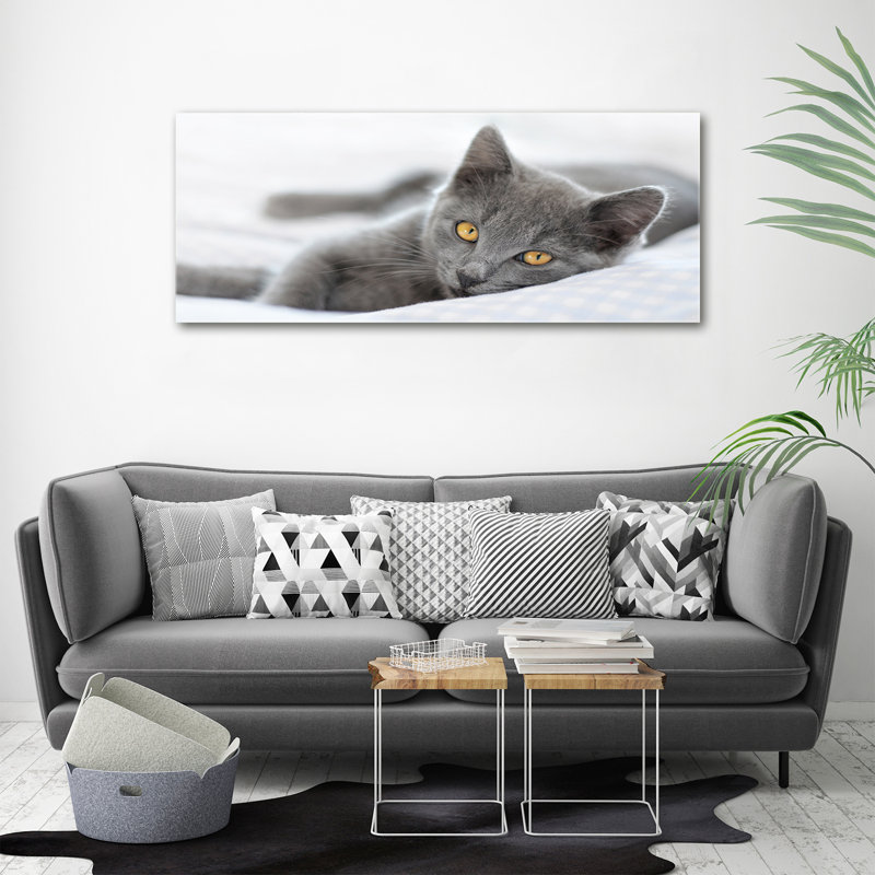 Gray Cat - No Frame Print, Canvas, 50cm H x 125cm W x 2cm D