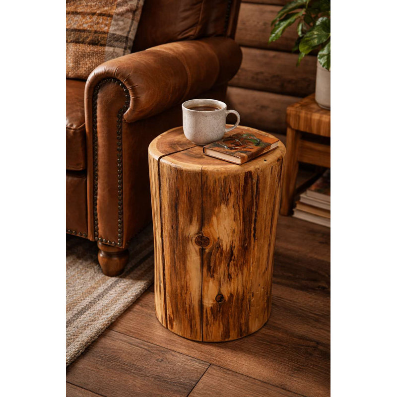 Souche de cèdre, support pour plante / table d'appoint / tabouret, 10 po x 18 po, vernis naturel transparent