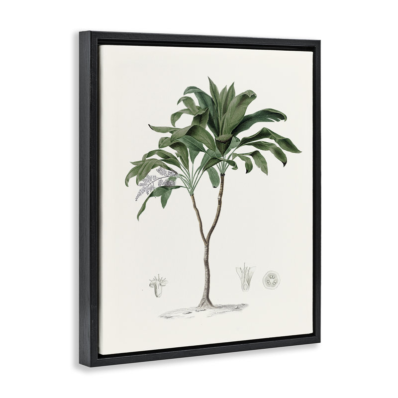 Cadre flottant rétro avec étude de palmiers, design par CAD, Cadre flottant noir de jais, H 21 po x l 17 po