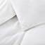 Édredon en duvet blanc toutes saisons-1833998253