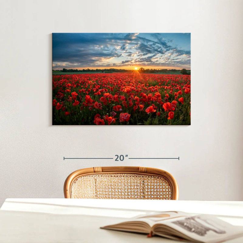 Lever de soleil sur le coquelicot rouge, H 16 po x l 24 po
