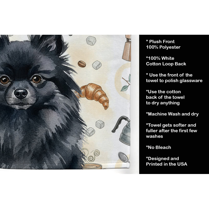 Torchon noir Pomeranian, Loulou de Poméranie noir