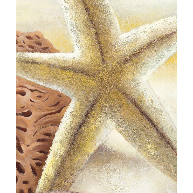 Toile étoile de mer et coquillages - décor contemporain brun