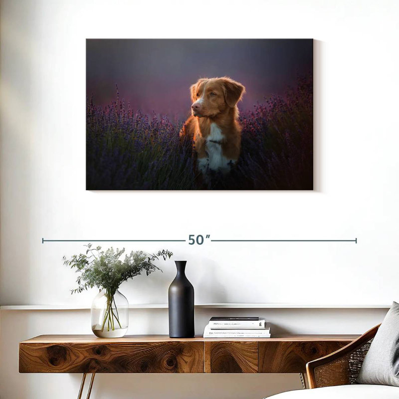 Golden retriever dans un champ de lavande, H 24 po x l 36 po