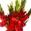 Leaf Design Large Artificial Gladioli Stems 115cm Faux Plant-114785207-114785209