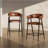 Cidni Counter Stool Set