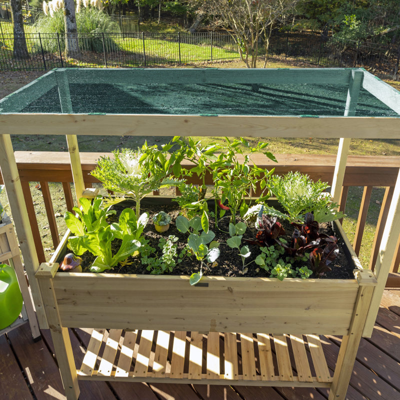 Auvent de remplacement Coolaroo, Vert