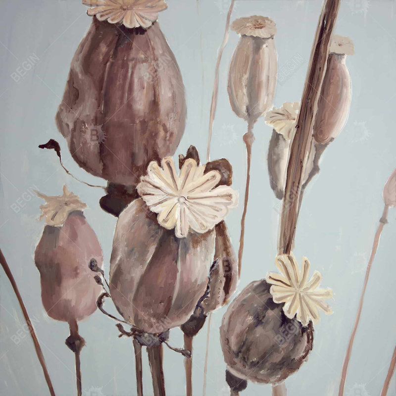 "Fleurs de pavot sépia"
