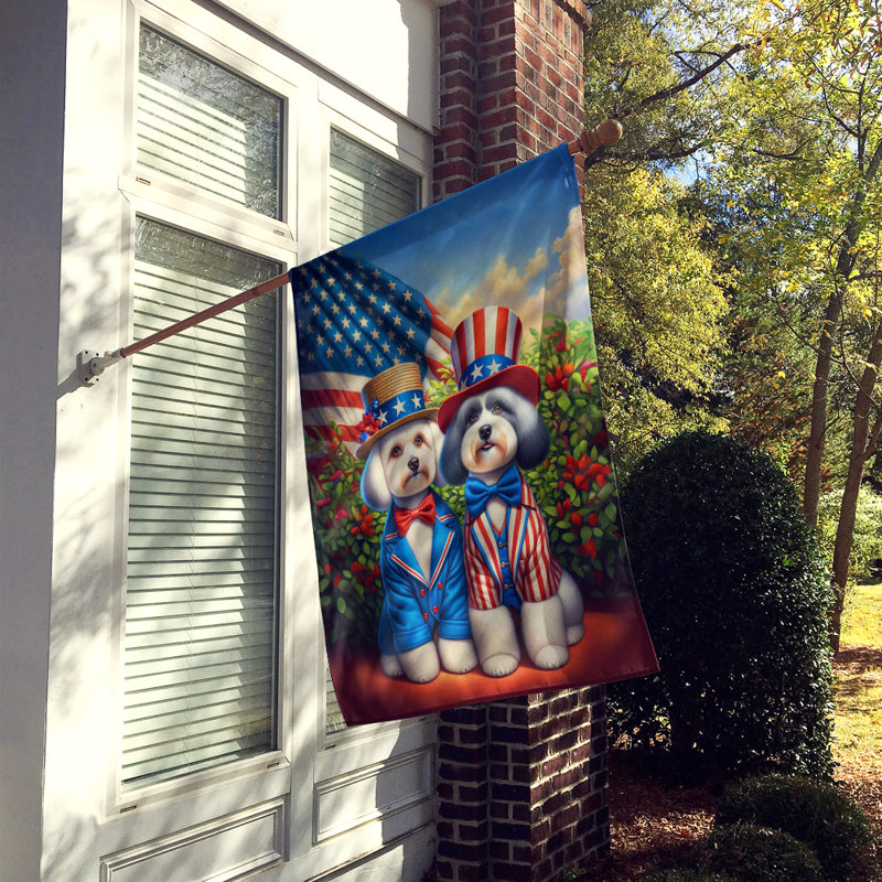 Drapeau «All American House», Bichon havanais