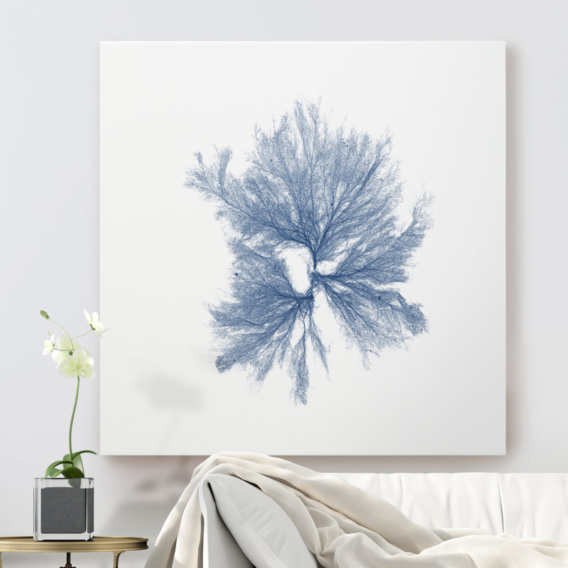 « marine algues iii », reproduction d’art, H 10 po x l 10 po x P 1,5 po, Toile tendue