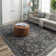 Zekir Oriental Indoor Rug