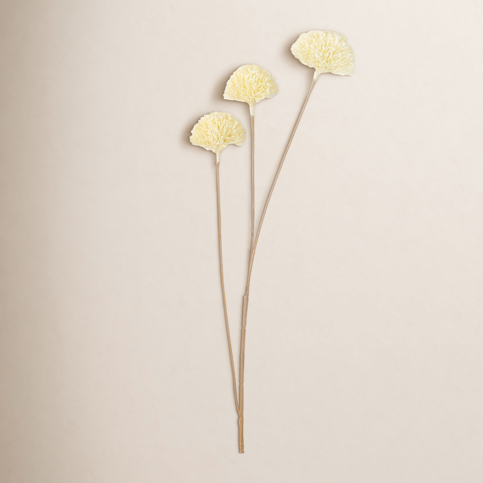 Quinlan Allium Bud Stems, Off-White